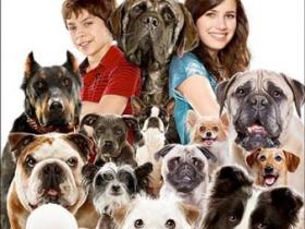 FOX FAMILY MOVIES: HOTEL FOR DOGS
