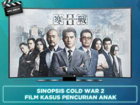 SINOPSIS COLD WAR 2 : FILM KASUS PENCURIAN ANAK