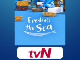 Olah Hasil Laut Segar, Yum Jung Ah dan Kim Sun Young Siap Menghibur di Fresh Off The Sea 3!