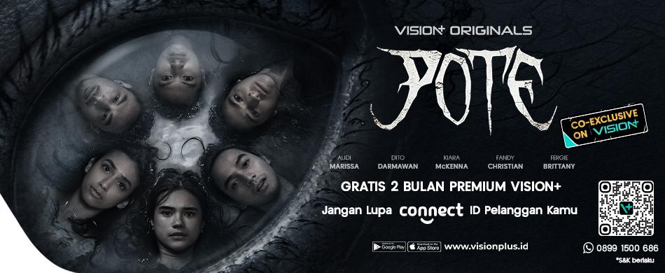Vision+ POTE