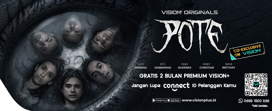 Vision+ POTE