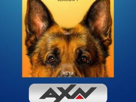 Aksi Cerdas Detektif dan Anjing Setia: Keseruan Baru di 