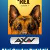 Aksi Cerdas Detektif dan Anjing Setia: Keseruan Baru di 
