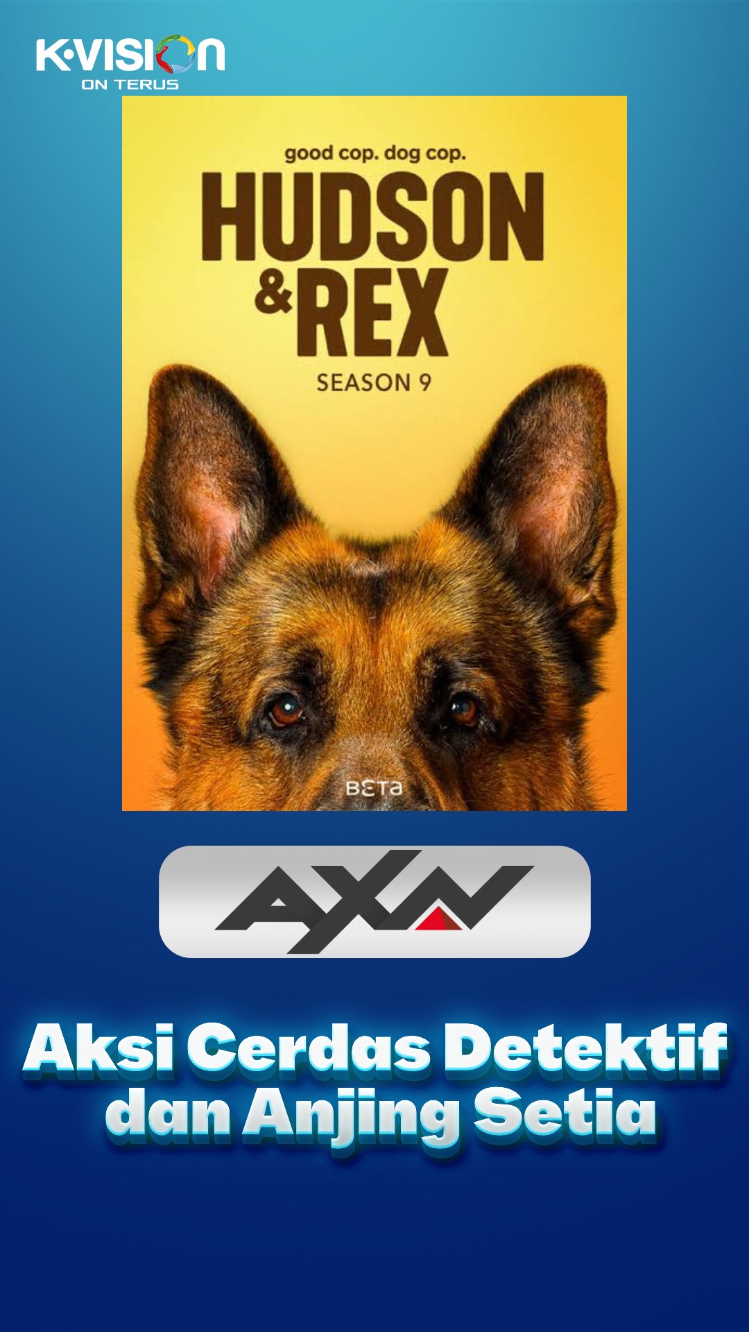 Aksi Cerdas Detektif dan Anjing Setia: Keseruan Baru di 